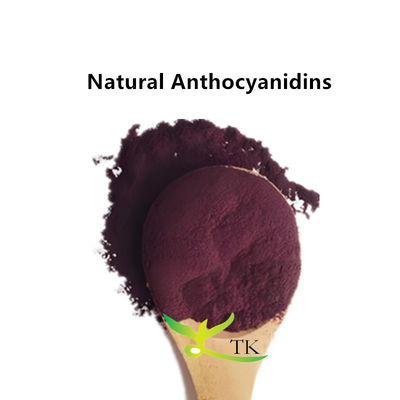 Food Grade Natural Pure Anthocyanidins Powder Extracted From Fruit And Vegetable