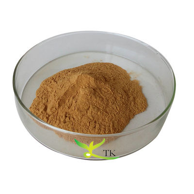 100% Natural Plant Extract Eucommia Ulmoides Extract Powder Chlorogenic Acid 5% 25%