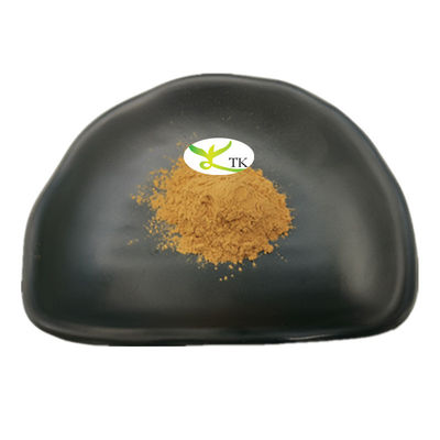 Wholesale Price Natural Plant Extract Yellow Sweet Clover Extract Powder 4:1 10:1