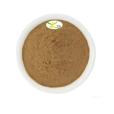 100% Natural Pure Birch Leaf Powder Bulk Birch Leaf Extract Powder 4:1 10:1