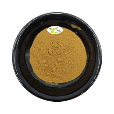 Wholesale Price Food Grade Thyme Leaf Extract Powder 4:1 10:1 Thyme Leaves Powder