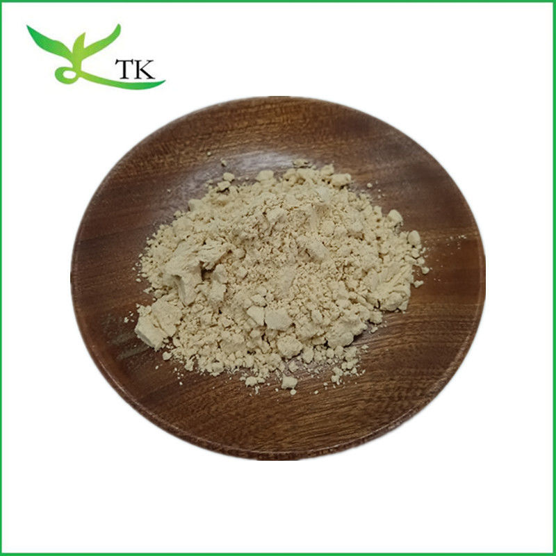 Wholesale Price Natural Food Grade Psyllium Husk Powder Psyllium Husk Extract Powder