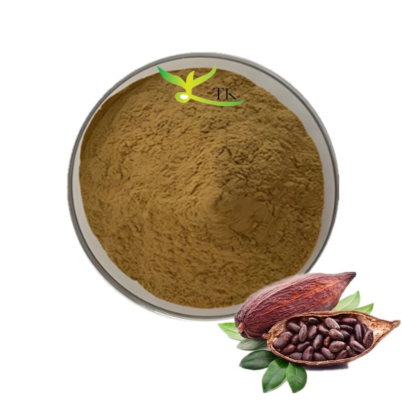 Wholesale Pure Natural Cocoa Bean Extract Cocoa Flavanols Powder Price