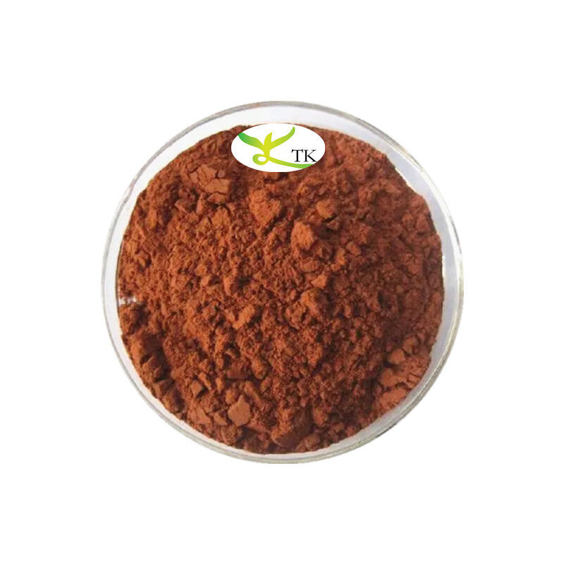 Wholesale Price Food Grade Pine Bark Extract 95% OPC Proanthocyanidins Powder