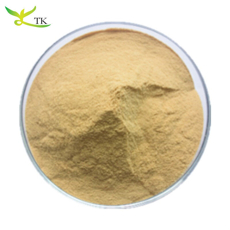 Wholesale Feed Grade Best Price Bulk Brewer's Yeast Powder Yeast Protein Powder