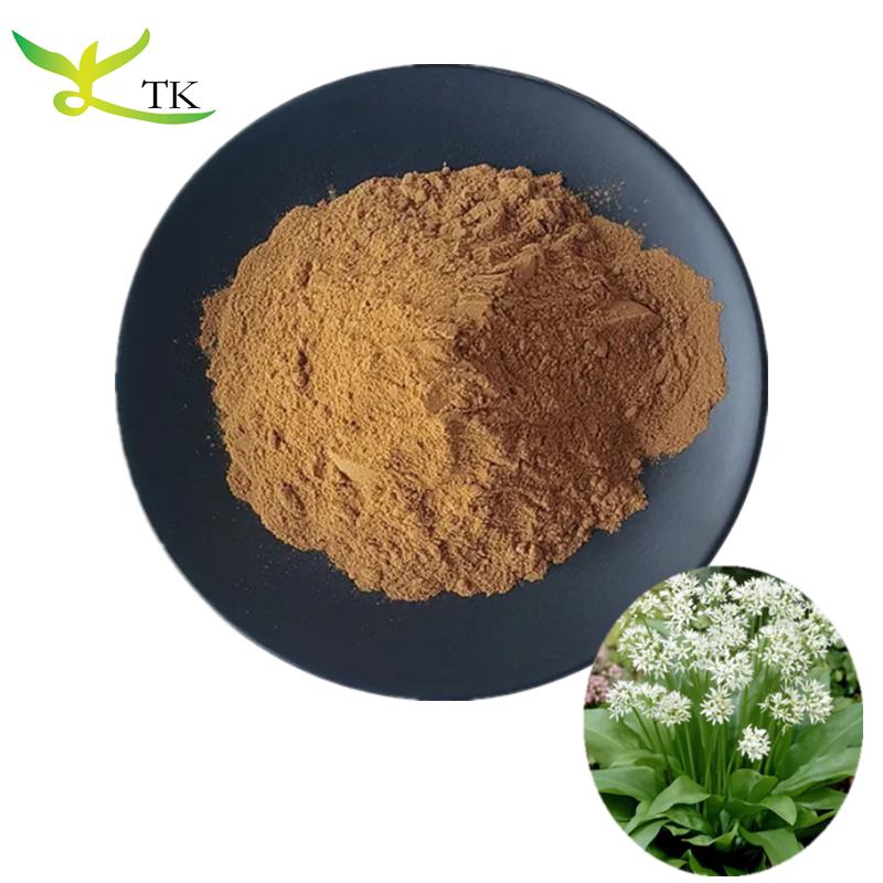 Factory Supply Natural Healthcare Supplement Ramsons Extract Allium Ursinum Extract Powder 4:1 10:1