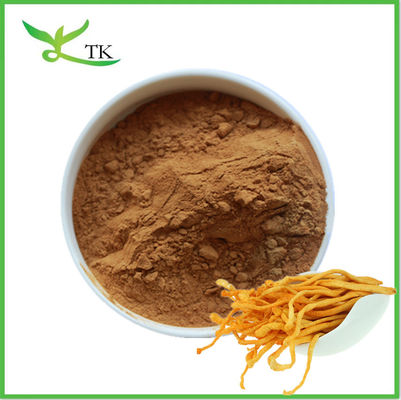 天然のキノコ抽出粉 Cordyceps Militaris 抽出粉 ポリサハリド コルディセピン