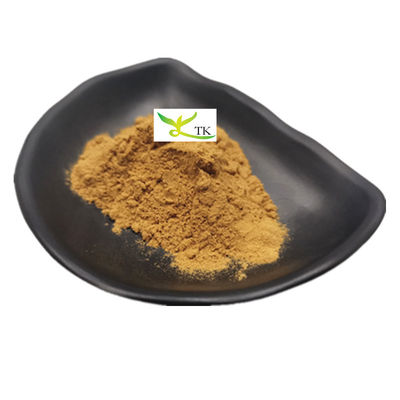 卸売価格 天然 薬草 補給 成分 眼鏡 抽出粉 10:1