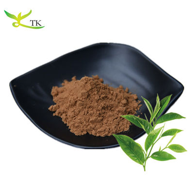 卸売価格 天然緑茶抽出粉 40% 98% 茶ポリフェノール