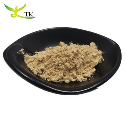 最高品質 100% 純天然 パナックス ジャンセンの根抽出 Ginsenosides 粉 10%~80%