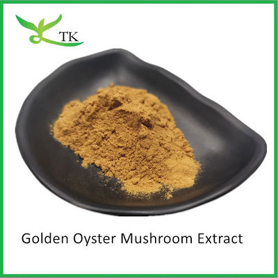 天然のキノコサプリメント Pleurotus Citrinopileatus ゴールデンオイスターキノコ抽出粉