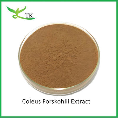 卸売 天然植物抽出物 コレウス・フォースコフリ 抽出物 粉 Forskolin 価格