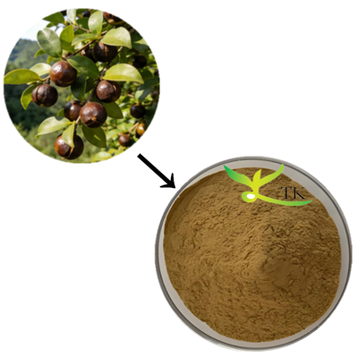 卸売価格 100% 天然 カメリア・シネンシス 抽出物 粉紅茶 サポニン 抽出物 化粧品用