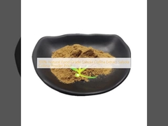 100%天然食品グレード サルソラ・コリーナ 抽出物 サルソラ・コリーナ パウダー価格