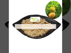 最高の価格 100% 天然食品グレード ローズヒップ (Rosa Roxburghii) 果実粉末