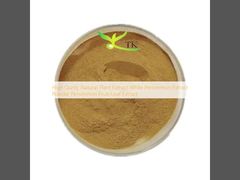 高品質天然植物エキス 白柿エキスパウダー 柿の実/葉エキス