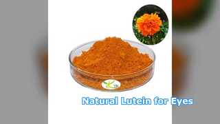 目の健康のための天然ルテインパウダー